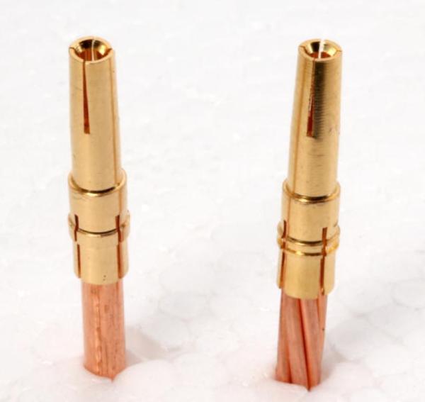 42331-N-Busche-loetfrei-002